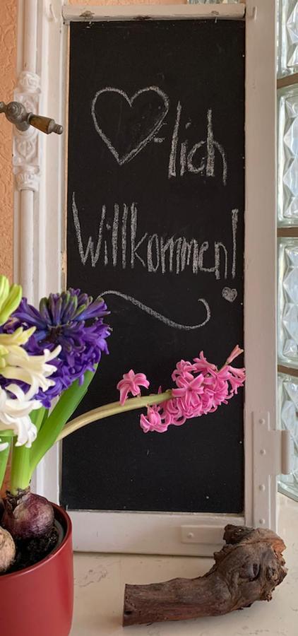 Ferienwohnung Birka Speyer Ngoại thất bức ảnh